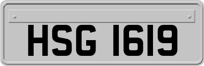 HSG1619