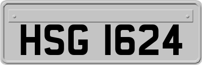 HSG1624