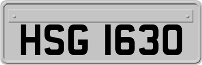 HSG1630