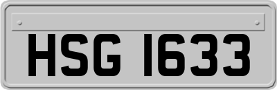 HSG1633