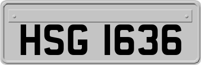 HSG1636