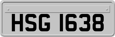 HSG1638
