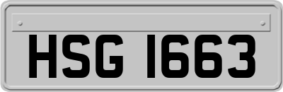 HSG1663