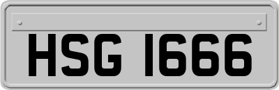 HSG1666