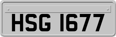 HSG1677