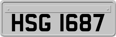 HSG1687