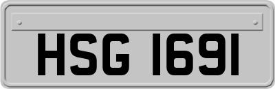 HSG1691