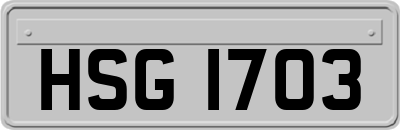 HSG1703