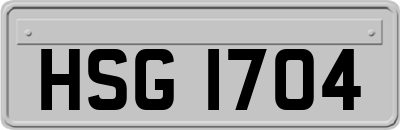 HSG1704