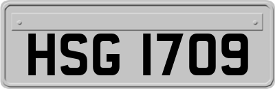 HSG1709