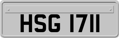 HSG1711