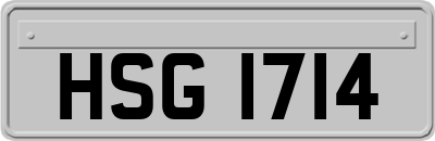 HSG1714