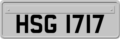 HSG1717