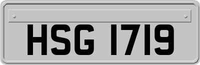 HSG1719
