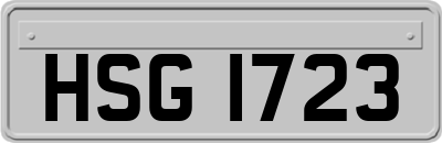 HSG1723