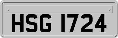 HSG1724
