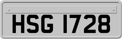 HSG1728