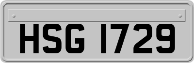 HSG1729