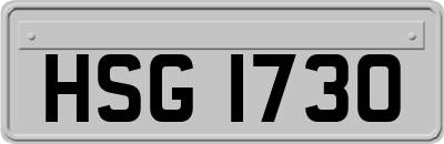 HSG1730