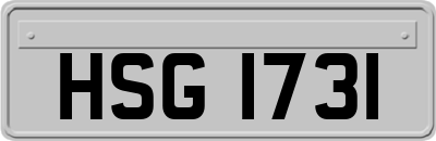 HSG1731