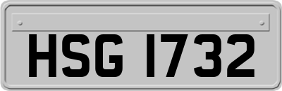 HSG1732