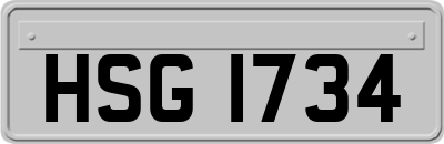 HSG1734