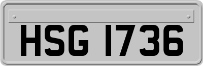 HSG1736