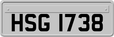 HSG1738