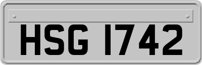 HSG1742