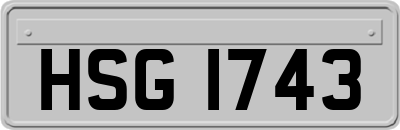 HSG1743
