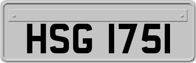 HSG1751