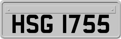 HSG1755