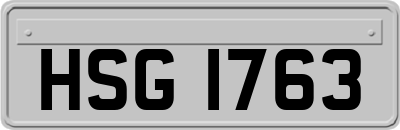 HSG1763