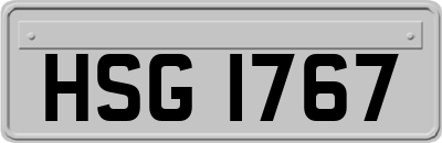 HSG1767