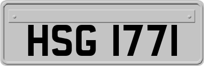 HSG1771