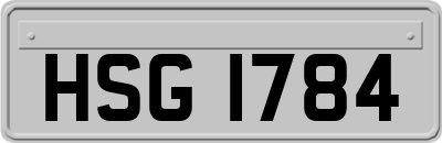 HSG1784