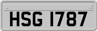 HSG1787