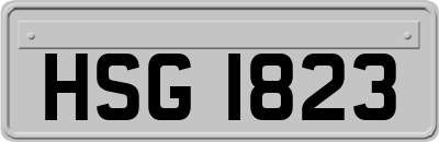 HSG1823