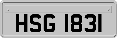 HSG1831