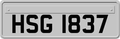 HSG1837