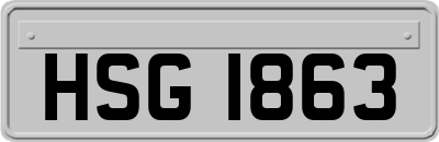 HSG1863