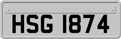 HSG1874