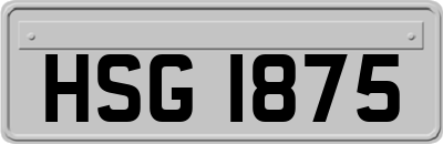 HSG1875