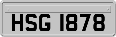 HSG1878