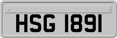 HSG1891