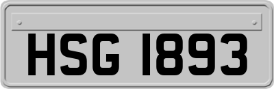 HSG1893