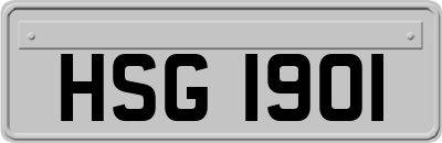HSG1901