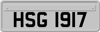 HSG1917
