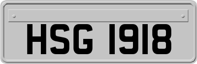 HSG1918