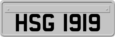 HSG1919